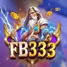 fb333